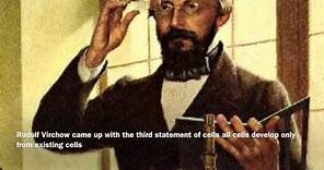 Cell Theory rudolf Virchow