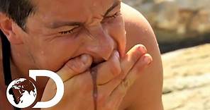 Bear Grylls' Top 3 Most Disgusting Moments | NOT FOR THE SQUEAMISH