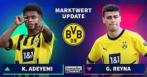 Marktwerte Bundesliga: Alle Änderungen von Borussia Dortmund im Detail erklärt | TRANSFERMARKT