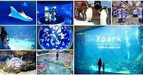 【桃園青埔】Xpark八景島水族館．必逛重點、門票、交通、停車資訊!|國內旅遊|圖文創作|WalkerLand窩客島