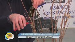Prune shrubs like a pro at the NARI Milwaukee Spring Home Improvement Show