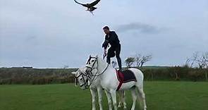 Jonathan Marshall shows us why he is the world's best show falconer.