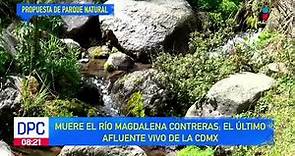 Muere el Río Magdalena Contreras; el último afluente vivo de la CDMX | De Pisa y Corre