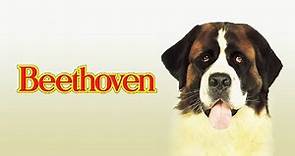 Beethoven (film 1992) TRAILER ITALIANO