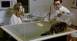 The Animals Film 1981 uncut
