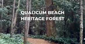 🌲 3 uplifting facts about the Qualicum Beach Heritage Forest. 1. Saved by the Community: The extraordinary efforts of the Brown Property Preservation Society along with the citizens of Qualicum Beach and surrounding areas raised funds (1996 – 2004) to purchase these Lands and save the Forest from development. 2. Forever Protected: The signing of a Conservation Covenant in 2008 means that the Forest is held in perpetuity for the quiet enjoyment of nature by present and future generations. 3. Anc