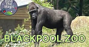 Blackpool Zoo Animals Tour 2023