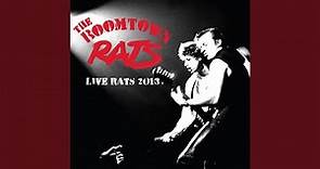 The Boomtown Rats (Live)