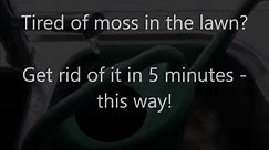 How to kill the moss instantly