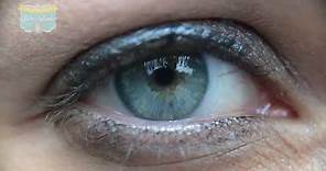 ¿Qué es y cómo funciona el iris de los ojos?