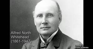 The Process Metaphysics of Alfred North Whitehead (*1861, †1947)