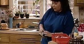 Roseanne  S01E01