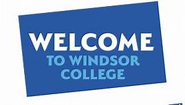 BTEC Business - Windsor College Summer Work