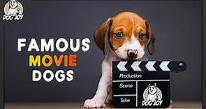 Hollywood Hounds: The Most Famous Dog Breeds