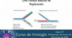 Clase #7 - Replicación de Virus con Genoma de DNA