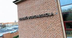 Drönartur av Malmö Borgarskola