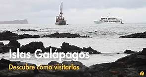 Documental de viaje a las Islas Galapagos - Cómo visitarlas