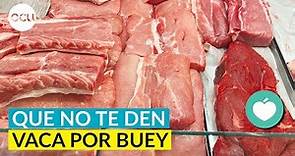 🥩 Diferencias entre la carne de vaca o carne de buey ¿cómo reconocerla? Que no te den vaca por buey