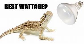 What Wattage Heat Light Is Best For Your Reptile?