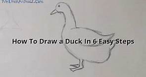 How to Draw a Duck In 6 EASY Steps - GREAT for Kids & Beginners