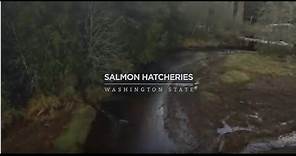 Salmon Hatcheries: Washington State