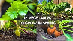 12 Vegetables You Should Grow in Spring