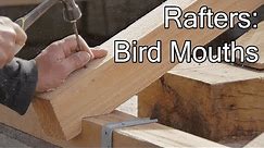 DIY ROOF: RAFTER'S BIRD MOUTHS