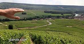 El Valle del Marne (Champagne)