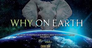 Why On Earth Trailer