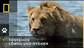 TODFEINDE - Löwen und Hyänen | National Geographic