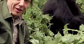 David Attenborough remembers Poppy the mountain gorilla | Extinction: The Facts