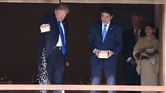 Trump, Abe feed koi fish in Japan