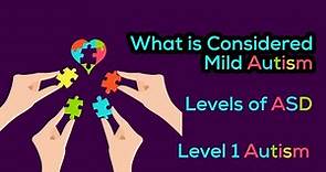 What is considered Mild Autism | Proper Definition | Levels of Autism | ASD level 1
