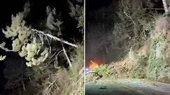 Trees and debris tumble down as landslide blocks road in California
