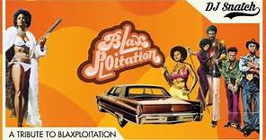 Tribute to Blaxploitation series (Harmless Records)