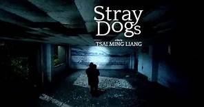 STRAY DOGS - Tsai Ming-liang (trailer)