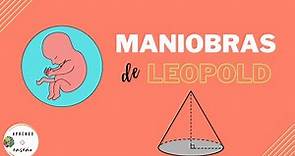 MANIOBRAS DE LEOPOLD