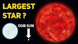 What is the Largest Star in the Universe?