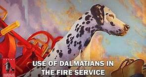 Use of Dalmatians in the Fire Service