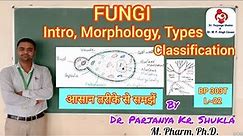 Morphology & Classification of Fungi | Fungi: Introduction, Types & Examples | BP 303T | L~22