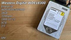 Western Digital Enterprise WDE18300-6029A8 18GB (1999) - Hard Drive Sounds