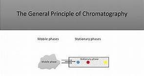 The Basic Principle of Chromatography and the Different Types of Chromatography
