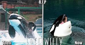 Free Willy (1993) Cast Then And Now ★ 2020 (Before And After)