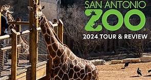 Full Tour & Review of the San Antonio Zoo (2024) | Over 3,500 Animals & 750 Species to See