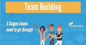 5 Stages of Team Building - What you should know when developing teams or groups
