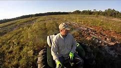 Spraying Herbicide in Longleaf Pine Restoration Site