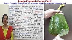 Class (107) = Proteolytic Enzyme (Part 01) | Papain (Source, Preparation, Chemistry, Test & Use)