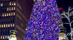 Strolling New York City, Christmas... - New York City 4K