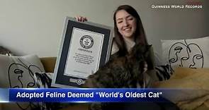 Flossie the cat crowned the world's oldest living cat at nearly 27 years old