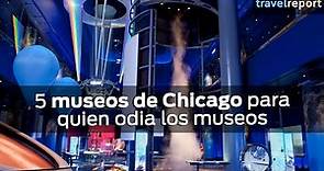 5 museos de Chicago para quien odia los museos